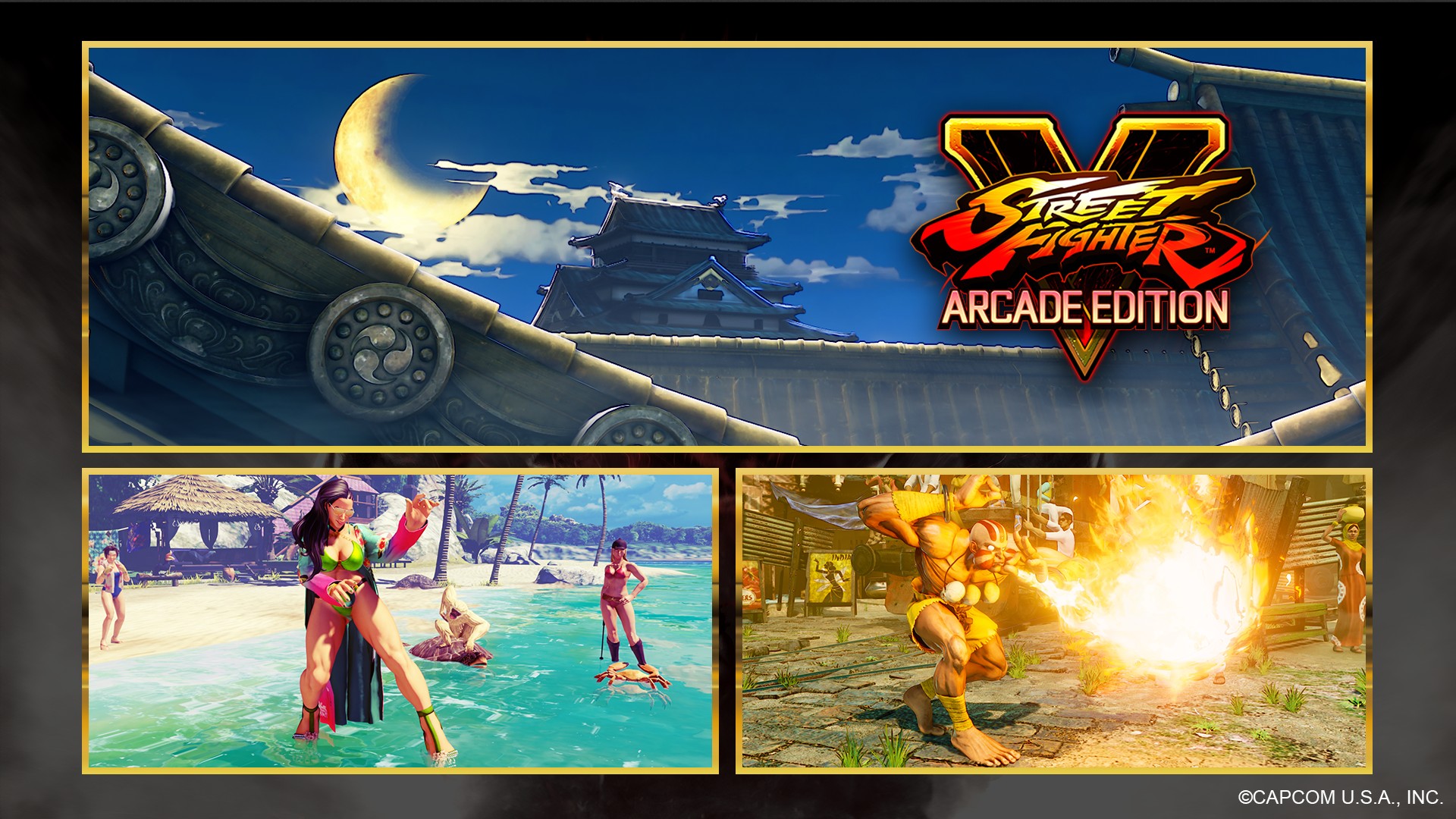 Street Fighter V Arcade Edition Summer Character Bundle Includes E